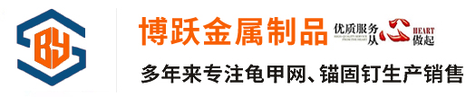 博跃龟甲网厂